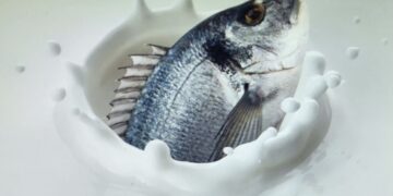 Ahora se venderá la ‘leche’ de pescado