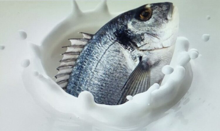 Ahora se venderá la ‘leche’ de pescado