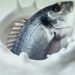 Ahora se venderá la ‘leche’ de pescado