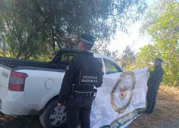 Guardia Nacional recupera 15 vehículos robados