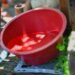 Reporta Salud 4 mil 585 casos acumulados de dengue en Puebla