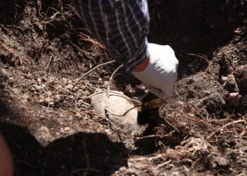 Suben a 17 los cuerpos encontrados en fosas clandestinas en el sur de México