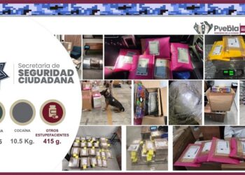 SSC ha desmantelado a 9 bandas delictivas en 50 días de gestión