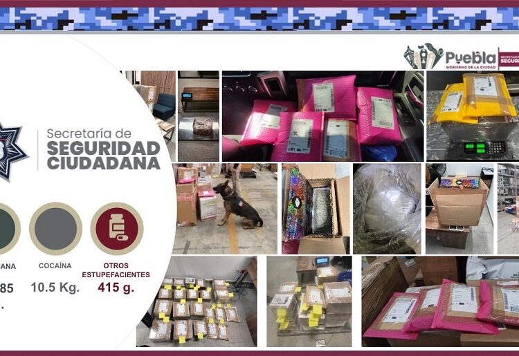 SSC ha desmantelado a 9 bandas delictivas en 50 días de gestión