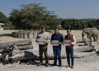 Ayuntamiento se suma a la Campaña Verde Navidad 2024 para reciclar árboles naturales de temporada