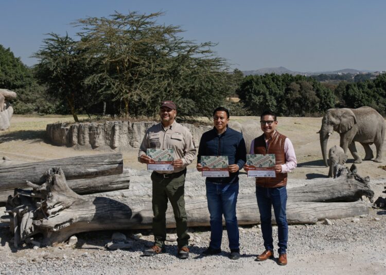 Ayuntamiento se suma a la Campaña Verde Navidad 2024 para reciclar árboles naturales de temporada