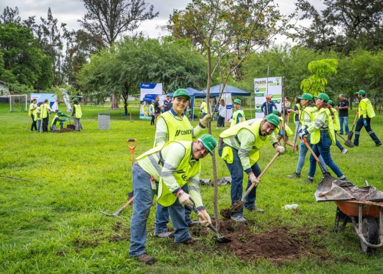 Cemex impulsa restauración arbórea y ‘pinta’ de verde ciudades de México