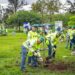Cemex impulsa restauración arbórea y ‘pinta’ de verde ciudades de México