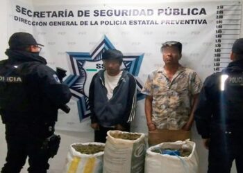 SSP detiene a 2 hombres en posesión de 36 kilos de marihuana
