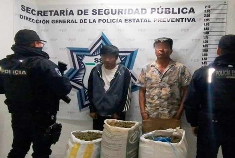 SSP detiene a 2 hombres en posesión de 36 kilos de marihuana