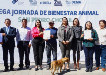 Gobierno de Cholula realiza Mega Jornada de Esterilización