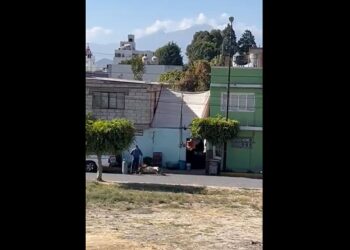 Atienden caso de maltrato animal en San Andrés Cholula