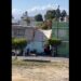 Atienden caso de maltrato animal en San Andrés Cholula