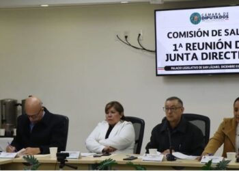 El nuevo modelo de salud