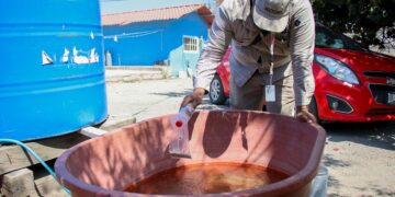 Reportan 7 casos de dengue en últimas 24 horas