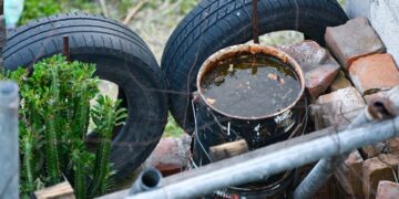 5 municipios concentran 60.3% de los casos de dengue