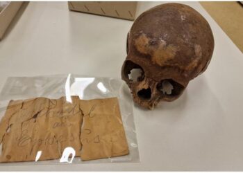 Cráneo que se especuló que sería de la hermana de Cleopatra pertenece a un adolescente