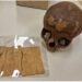 Cráneo que se especuló que sería de la hermana de Cleopatra pertenece a un adolescente