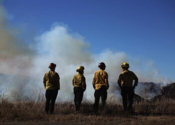 Pacific Palisades, el barrio de los ricos y famosos que los incendios redujeron a ceniza