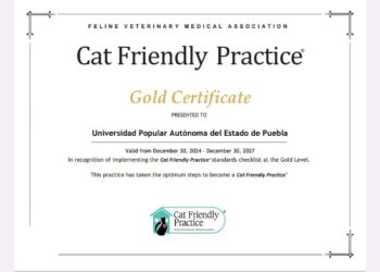Hospital Veterinario UPAEP recibe certificación internacional «Cat Friendly Practice»
