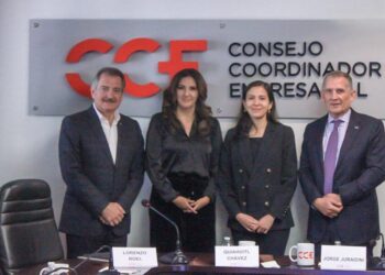 Maiella Gómez ratifica ante CCE Nacional, diálogo e inclusión en la comisión de Trabajo en San Lázaro