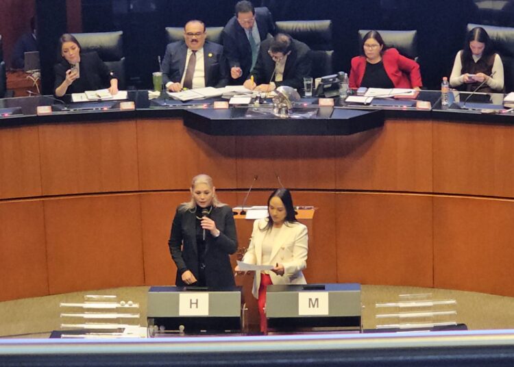 Senado de la República inicia tómbola para elegir a candidatos de la elección judicial