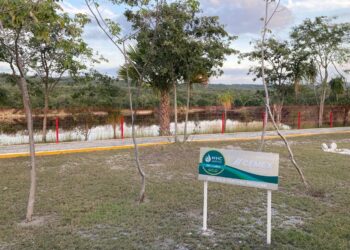 Transforman antigua cantera de arcilla en corredor biológico en la Huasteca potosina