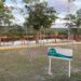Transforman antigua cantera de arcilla en corredor biológico en la Huasteca potosina