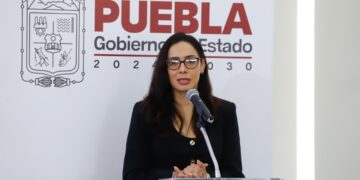 Guardia Forestal combatirá tala clandestina e incendios