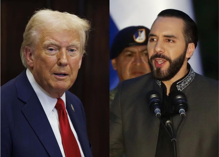 Trump llamará a Bukele este jueves