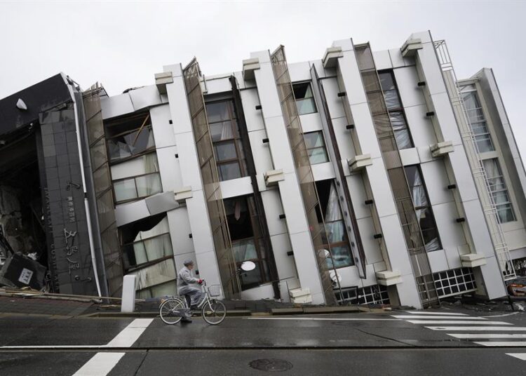 Subastan seis setas por más de 2.000 euros en Japón para ayudar a la recuperación de Noto