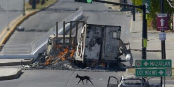 Violencia afecta escuelas en siete estados: ONG