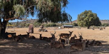 Reserva en México protege a 800 animales en peligro