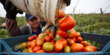 PIB de México creció 1.5 % en 2024, pero cayó 0.6 % en cuarto trimestre