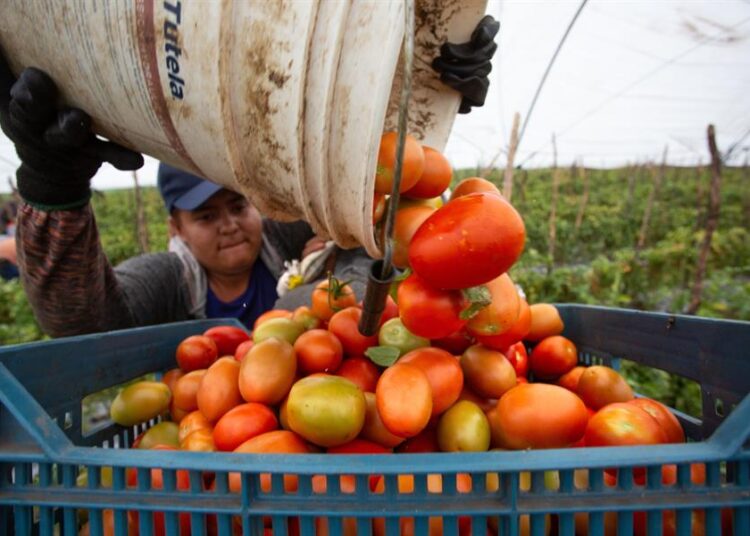 PIB de México creció 1.5 % en 2024, pero cayó 0.6 % en cuarto trimestre