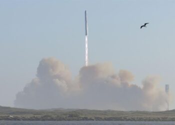 Autoridades de EE.UU. quieren que SpaceX investigue la destrucción de la nave Starship