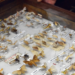 Aquí está la colección de insectos más grande de Puebla