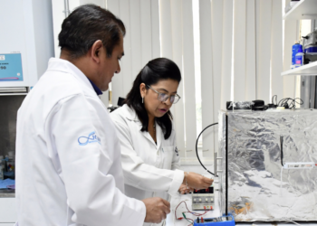 Investigadores BUAP diseñan biosensor para detectar moléculas de interés clínico