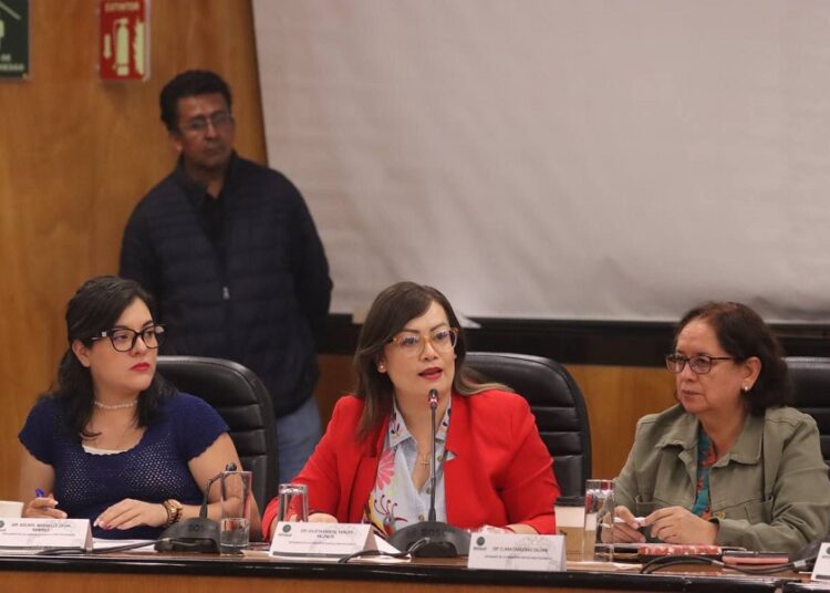 Julieta Vences pide al Gobierno federal que fortalezca programa Héroes Paisanos
