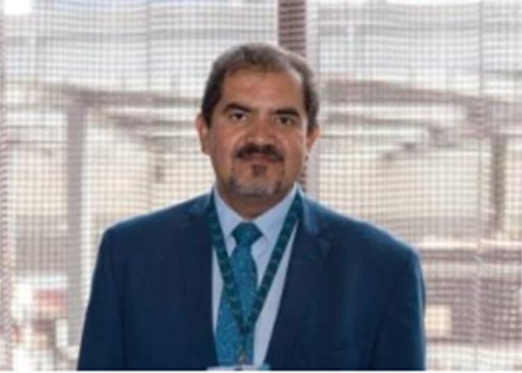 México debe prepararse ante eventual  renegociación del T-MEC: Malpica