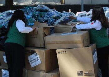 Confiscan 3 millones de artículos de mercancía asiática ilegal
