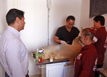 Omar Muñoz condena ataque a machetazos a perrita en Cuautlancingo