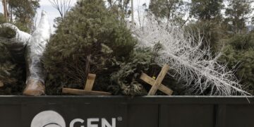 Recicla tu árbol de Navidad y cuida el medioambiente