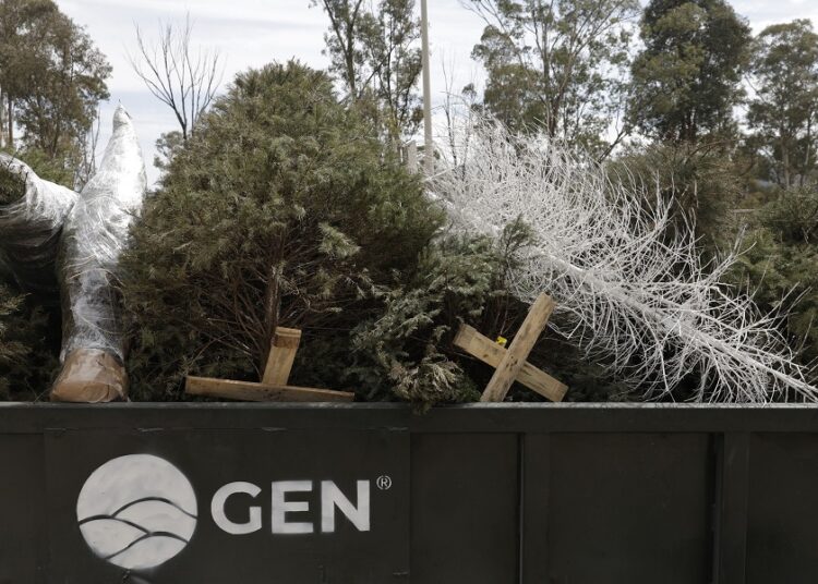 Recicla tu árbol de Navidad y cuida el medioambiente