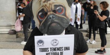 Veterinarios en México exigen alto a ataques tras asesinato