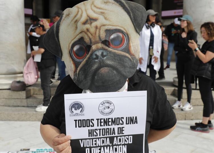 Veterinarios en México exigen alto a ataques tras asesinato