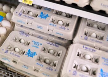 EEUU alerta aumento del 158% en tráfico de huevos mexicanos