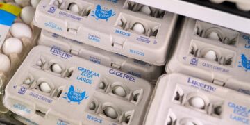 EEUU alerta aumento del 158% en tráfico de huevos mexicanos