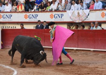 Feria del Caballo Texcoco 2025 anuncia corridas de toros