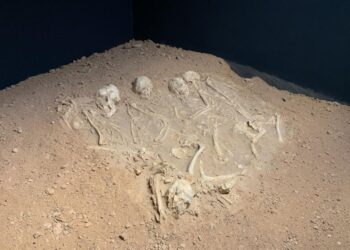 Tras las huellas de la humanidad: el parque arqueológico emiratí nominado por la UNESCO